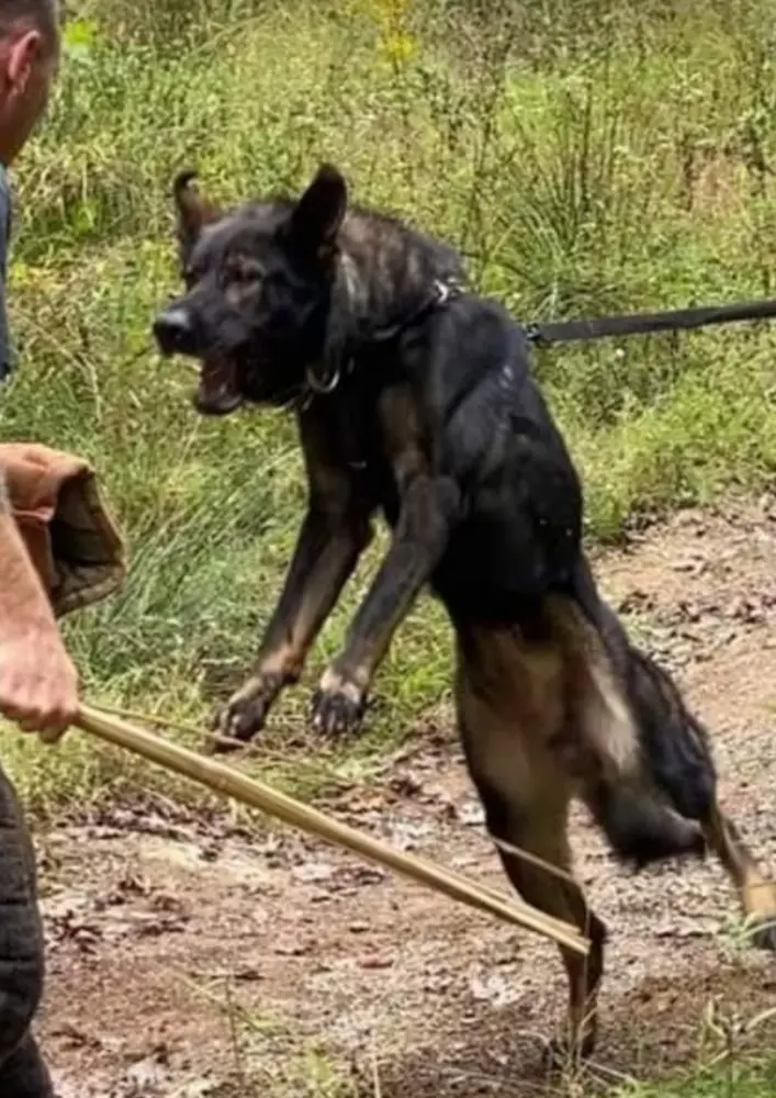 Cain Beschutzer Der Freiheit