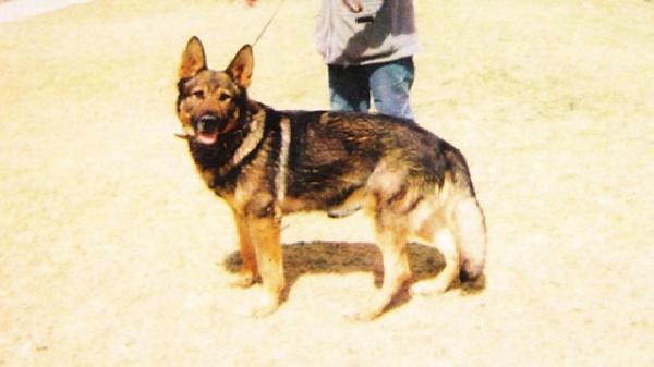 Pax vom Altbacher Wald