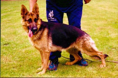 Nixe von der Bärenschlucht