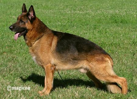 Till von der Blautalhalle