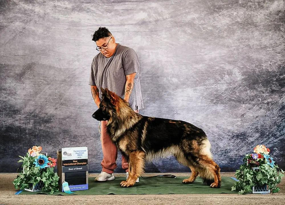 UKC CH Esteemed K9's Don't Kiss And Tell