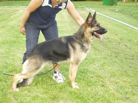 SG Fanny vom starken Damasus