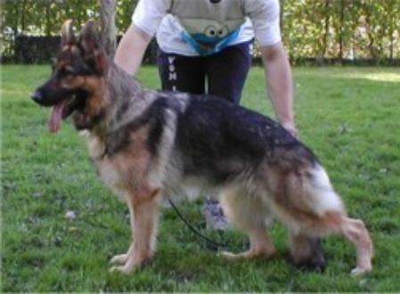 V Winni vom Silbersee