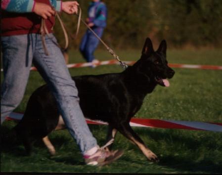 Percy v.d. Hornhütte