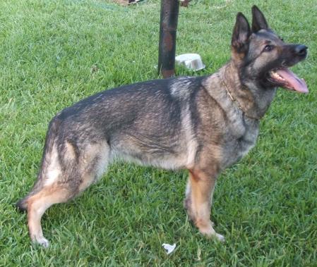 SG Debby von der Ritterstraße