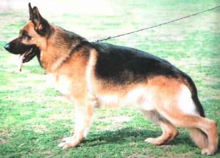 N.CHVA1(NPD),VA(JSV) Matty de la Taspelmatt