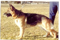 Ohiteka de la Carriere de Gypse