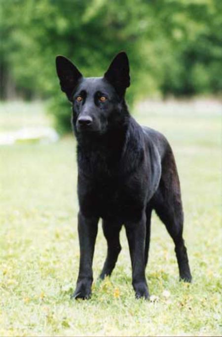 KORAD Äventyr's Bärbel