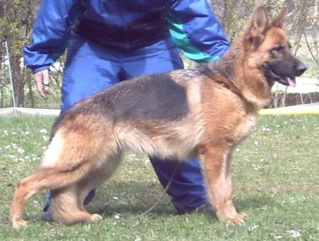 V Fanta von der Wagnerzunft