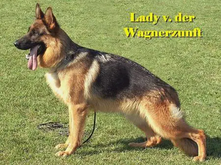 Lady von der Wagnerzunft