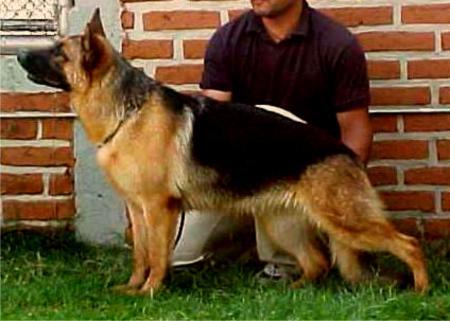 V Bela Von Chac Moll