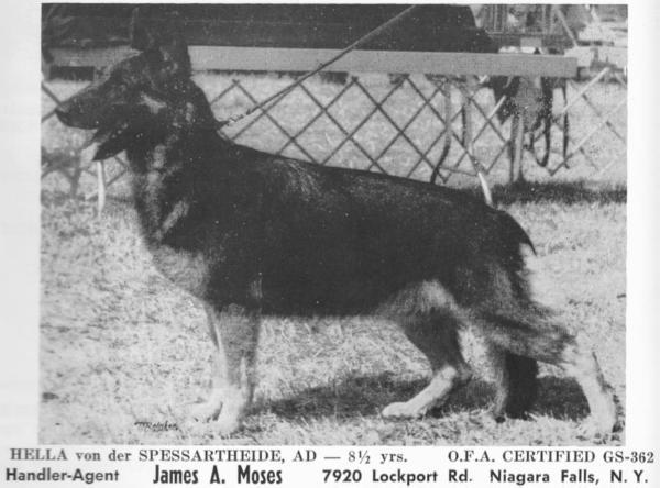 Hella von der Spessartheide