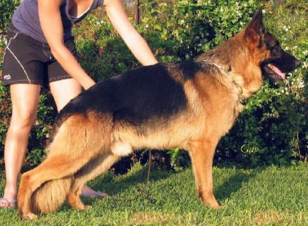 V Yasso vom Sendling