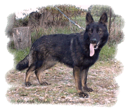 Sarah vom Enckhausen