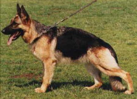 V, EUJV-91 Aireddan Yalanda