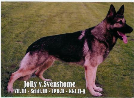 Jolly von Svenshome