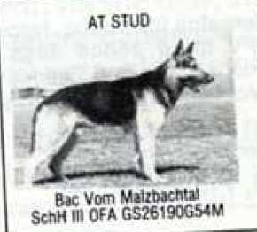 Bac vom Malzbachtal