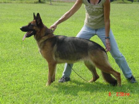 Elle von Haus Parker