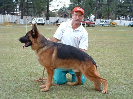 VA (BRASIL) Cash do Panzza Lara