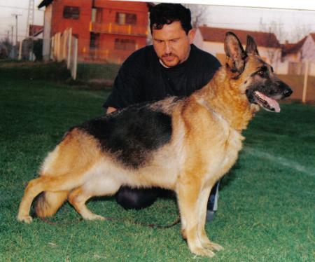 4VA1, 6CAC Deni od Vlaisavljevic