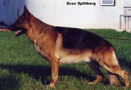 Scoc Splitberg