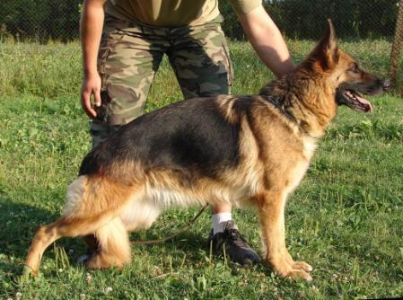 SG(RO) Lhea Von Bienenwald