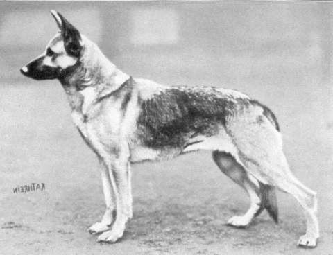 Ada von der Tatkraft