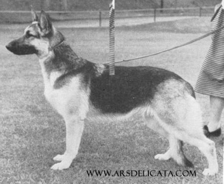 Eveley Unity of Brinton