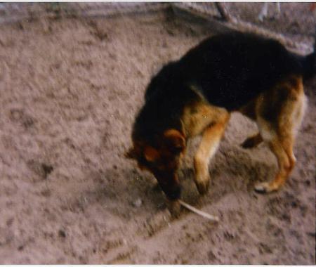 V Káta Réme Fonots