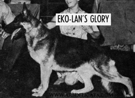 Eko-Lan's Glory