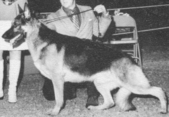 CH (US) Proven Hill's Jason