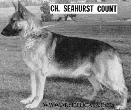 CH (US) Seahurst Count