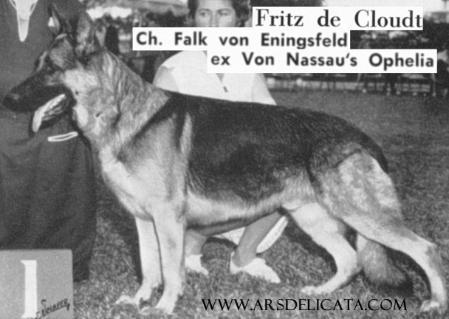 SEL CH (US) Fritz De Cloudt