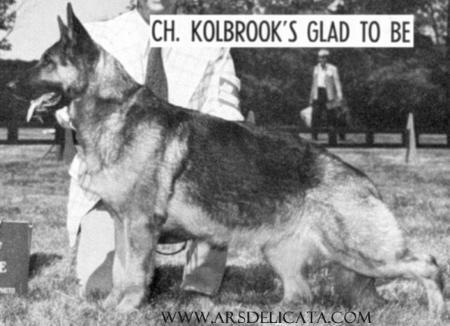 CH Kolbrook's Glad to Be