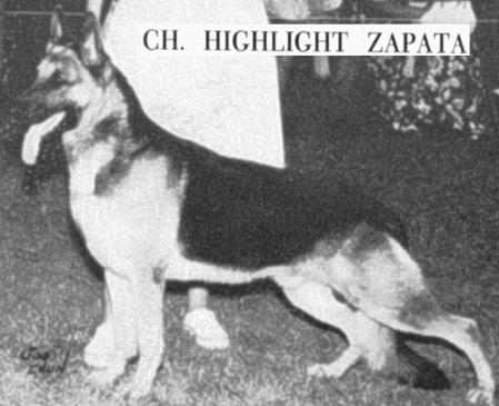 CH INT, (US) Hilight's Zapata