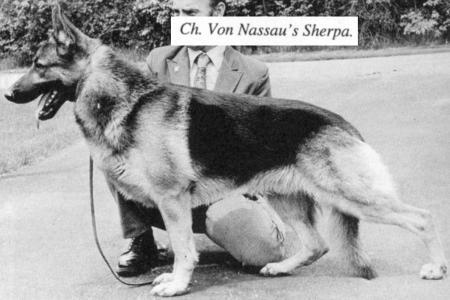 CH (US) Von Nassau's Sherpa