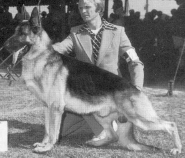 SEL CH (US) Haydelhaus Augie v Zahnarzt