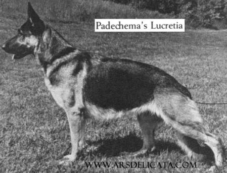Padechma's Lucretia
