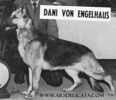 CH (US) Dani Von Engelhaus