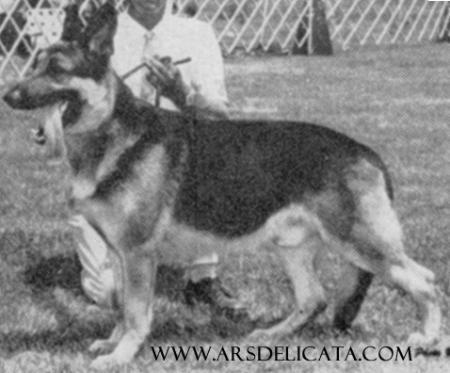 CH (US) Echo of Stahl Farm