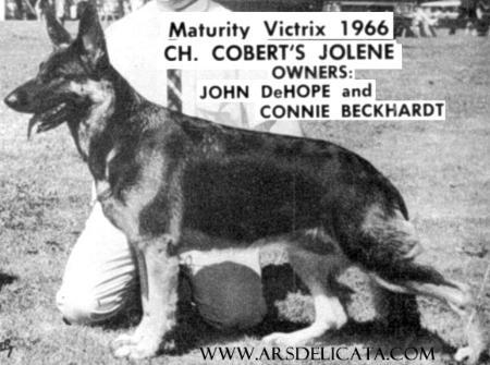 CH (US) Cobert's Jolene