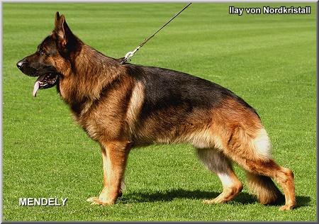 V Ilay Vom Nordkristall