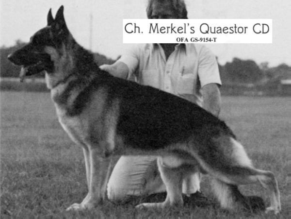 CH (US) Merkel's Quaestor