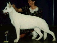 Miss White Feather Von Babb