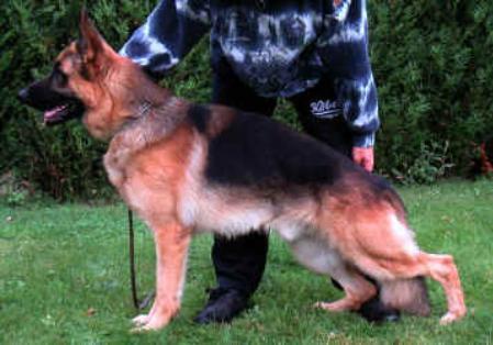 VA4 (FR) 2005 Tesko de Parilly