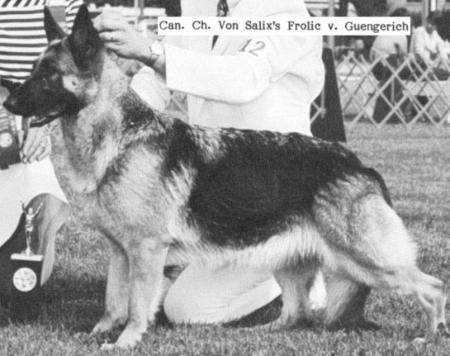 Von Salix's Frolic v Guengerich