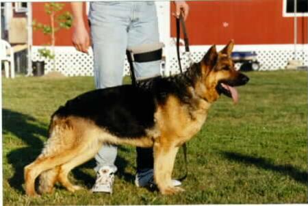 Eikka vom Adler Stein