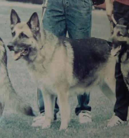 Réjane de la Baie de Tamaris