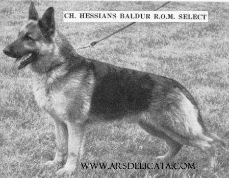 CH (US) Hessian's Baldur