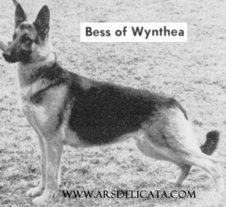 Bess of Wynthea